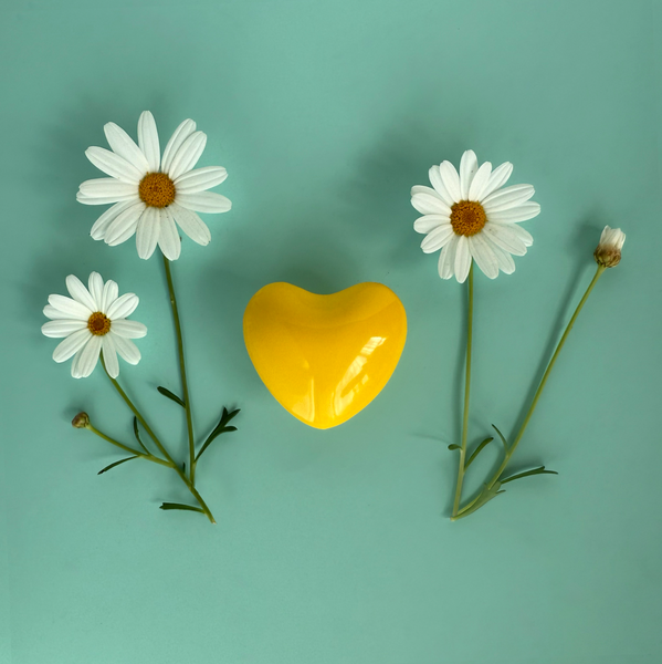 Best Friend Chiming Heart