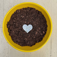 Remember Me As Sunshine Plantable Hearts