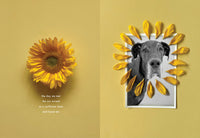 Dog Remembrance Book